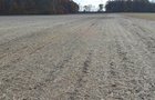 Property photo 18 - 75.3 Acres Offered in 2 Tracts